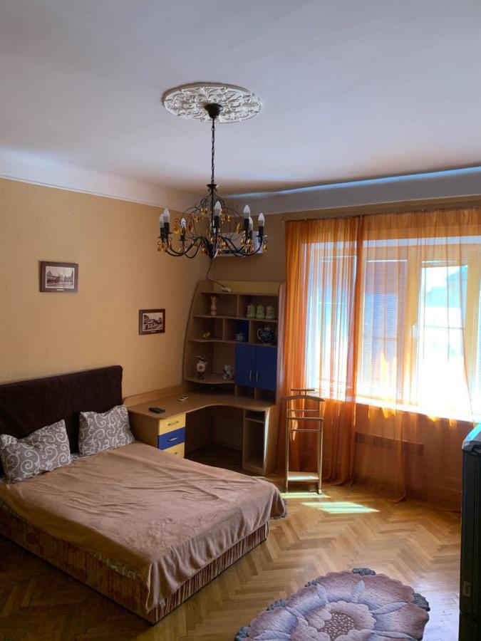 Apartment On Hoholya Street 切尔诺夫策 外观 照片
