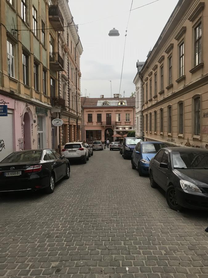 Apartment On Hoholya Street 切尔诺夫策 外观 照片